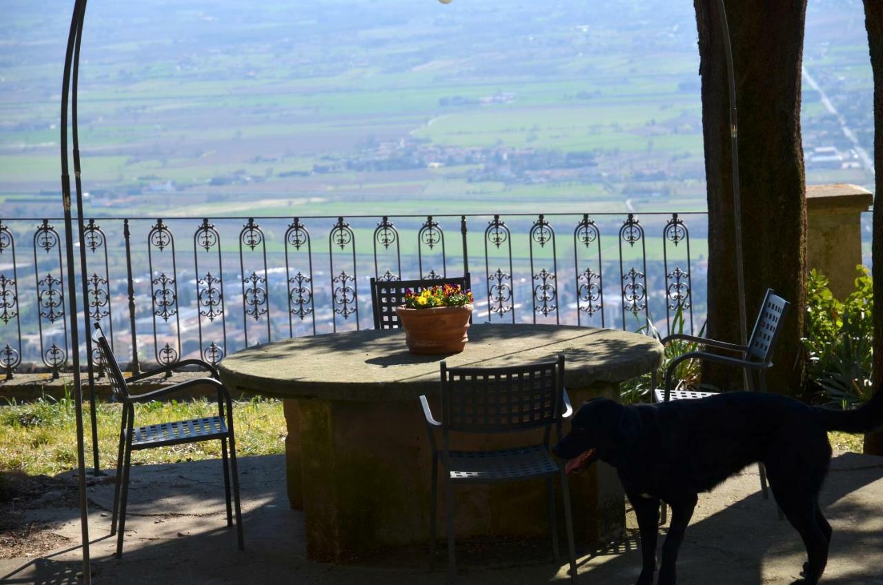 Donnaberarda Apartment Cortona Exterior photo
