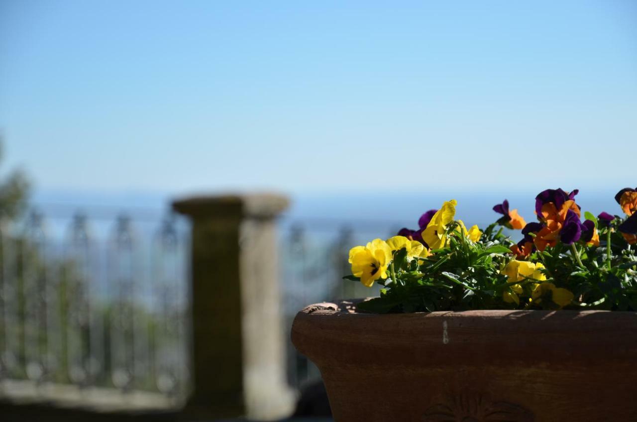 Donnaberarda Apartment Cortona Exterior photo